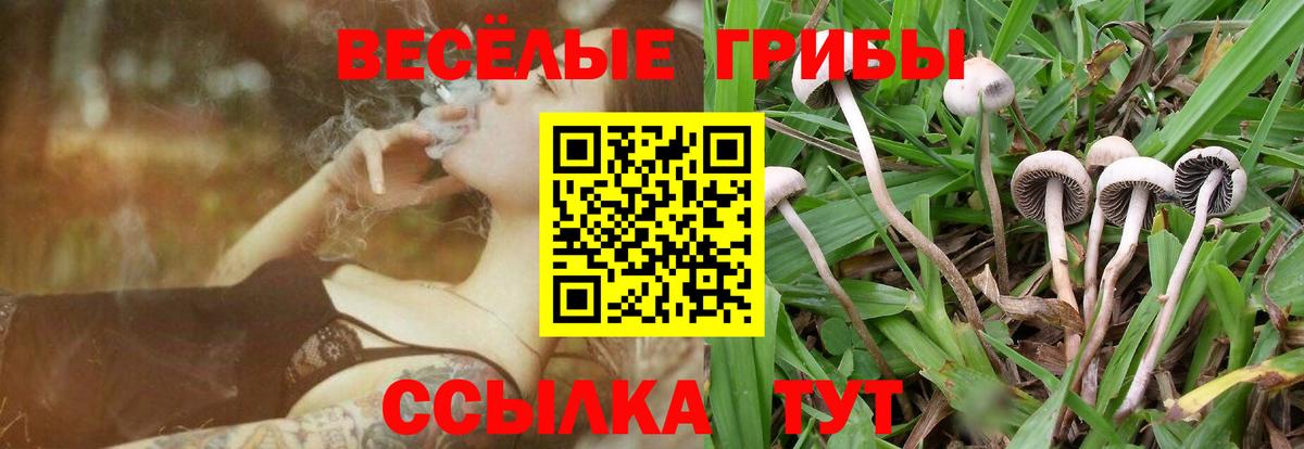Псилоцибиновые грибы Psilocybe  Псилоцибиновые грибы Cubensis  Вход с VPN  Орск 